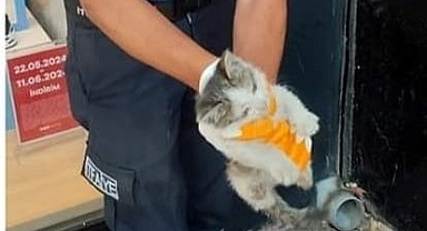 Atık su borusuna sıkıştı!