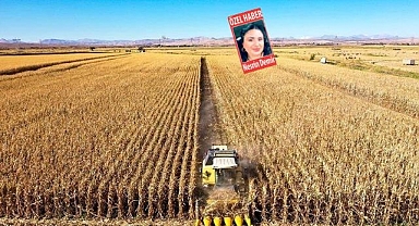 Azalan tarım nüfusuna çözüm; Kırsal Sanayi yatırımı!