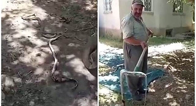 Bahçede görünce neye uğradığını şaşırdı