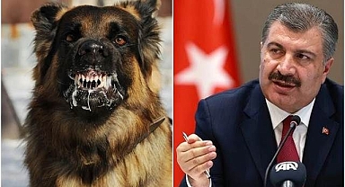 Bakan Koca: 'Gönlüm ötenaziden taraf değil'