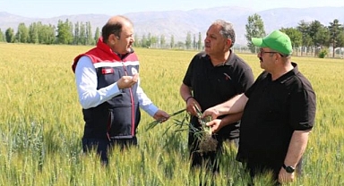 Buğday tarlalarında kontroller sürüyor