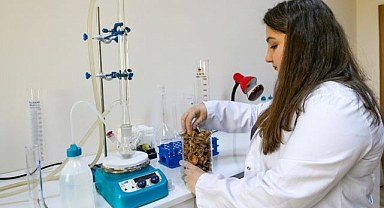 Ceviz kabuğundan ürettiler!