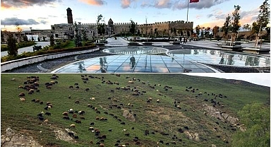 DAP’ta tarım ve turizm sektörleri ön planda