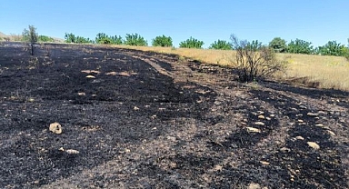 Dev alanda anız yangını!