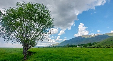 Doğu'da tarımsal arazilerin yüzde 68'i ekiliyor