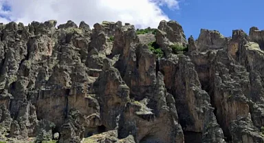 Erzurum'da çaşır toplayan kadın kayalıklardan düştü