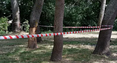 Erzurum'da ormanlık alanlara girişler yasaklandı