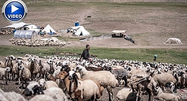 Erzurum yaylaları göçer aileleri ağırlıyor