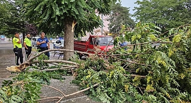 Fırtına çatıları uçurdu, ağaçların dallarını kırdı