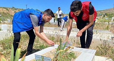 Gönüllüler kimsesizler mezarlığını temizledi