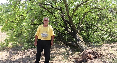 Hasat için gün sayan çiftçilere fırtına şoku