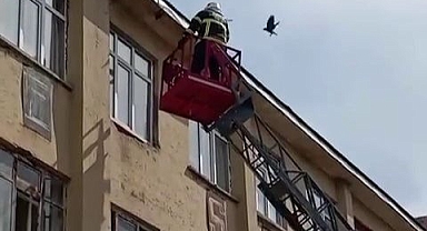 İtfaiyeden karga kurtarma operasyonu