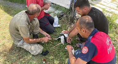 İtfaiyeden leylek operasyonu