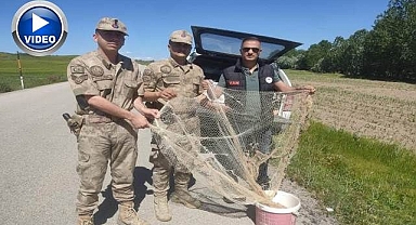 Kaçak avcılara ceza yağdı!