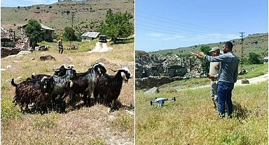Kaybolan keçiler dron radarında