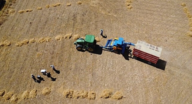 Kimyasal gübre yerine bakteri kullanıyorlar
