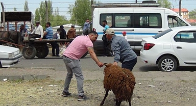 Kıyasıya pazarlık ettiler