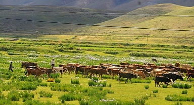 KUDAKA'dan ilginç Erzurum tespiti