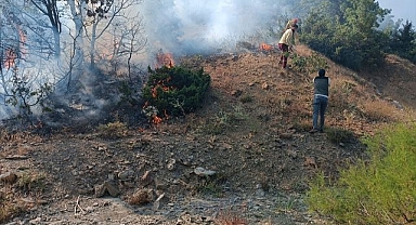 Ormanlık alanda çıkan yangın korkuttu
