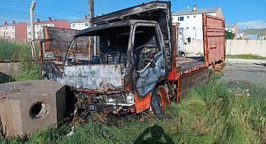 Park halindeki kamyonet kül oldu