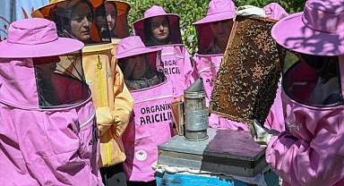 Pembe kıyafetli arıcılar, organik bal için kolları sıvadı
