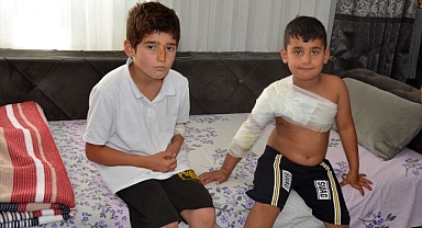 Sahipsiz köpekler 2 kardeşe saldırdı