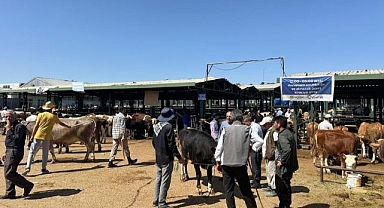 Sahte altınla kurban aldı... Polisten kaçamadı!