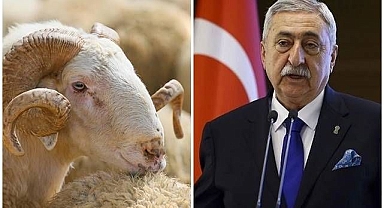 Sahtekarlıklara karşı dikkatli olun!