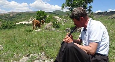 Sürülerini