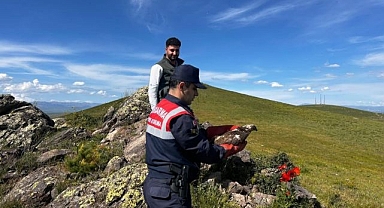 Tedavisi yapılınca özgürlüğe uçtu