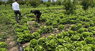 Teşvik ve desteklerle üretim artıyor