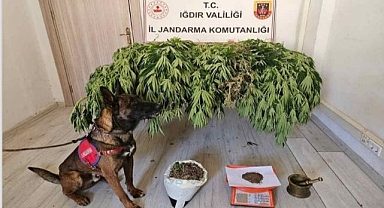 Uyuşturucu ticaretine geçit yok!