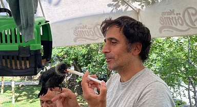 Yavru kargaya bebek gibi bakıyorlar