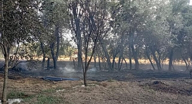 Bahçede korkutan yangın