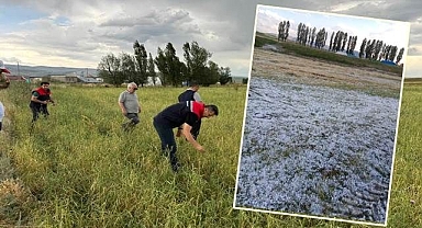 Ekili alanları dolu vurdu