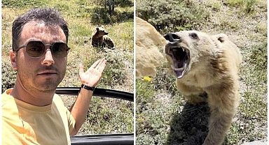 Eliyle beslemek istediği ayının saldırısına uğradı