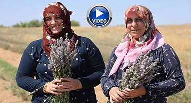 Gelin-görümce sırt sırta verdi, birlikten kuvvet doğdu
