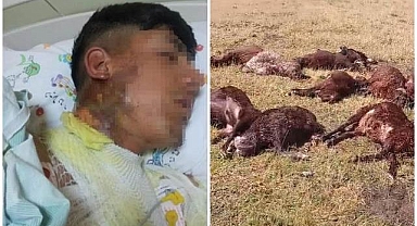 Hayvan otlatan 2 kardeşin üstüne yıldırım düştü