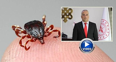 Kene vakaları arttı!