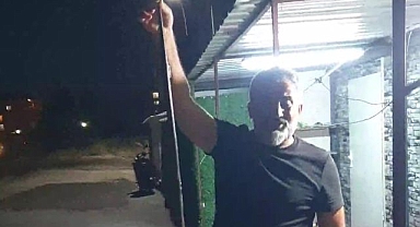 Konteyner kentte görülen yılan korkuttu