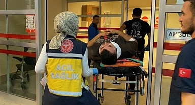 Köpeğe çarpmamak için kendisini tehlikeye attı