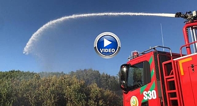 Ormanlık alanda yangın çıktı
