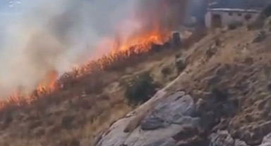 Otluk alanda çıkan yangın korkuttu