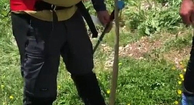 Sıcak havalar yılan vakalarını artırdı