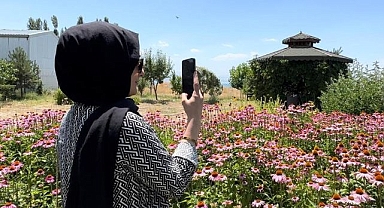 Tıbbi bitkilerden doğal fotoğraf stüdyosu