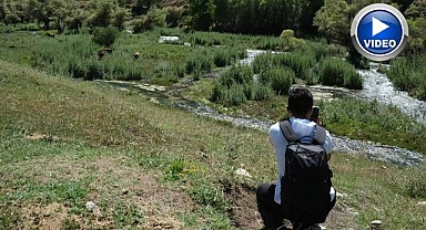 Ziyaretçilerin uğrak yeri oldu