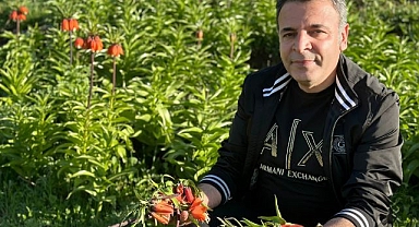 20 günlük ömrü olan ters laleleri acımasızca kopardılar