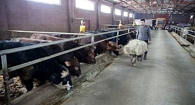 44 hayvancılık projesine 8,6 milyon avro destek 