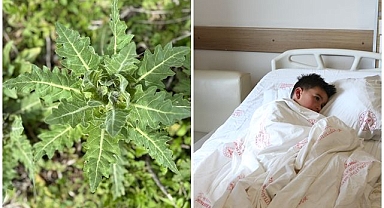 8 çocuk yedikleri bitkiden zehirlendi!