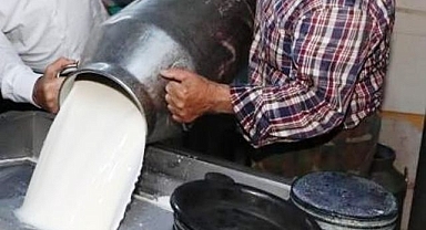 857 bin ton inek sütü toplandı